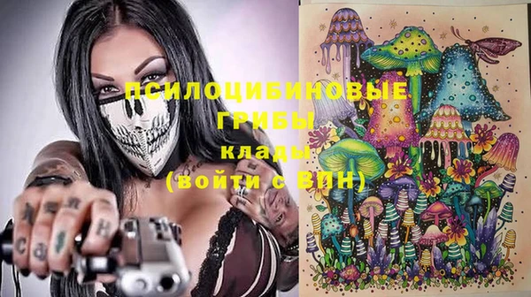 прущий лед Костерёво