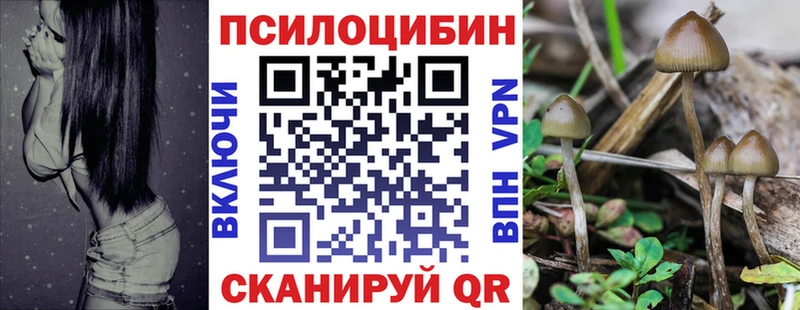 Псилоцибиновые грибы мицелий  Купить  Алейск 